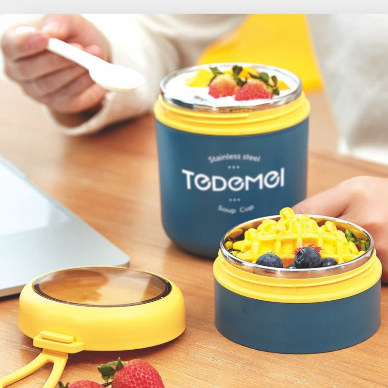 Steel Lunch Box Double layer