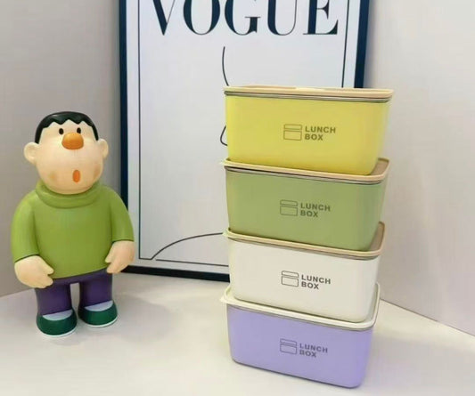 Pastel Steel Mini Lunch Box