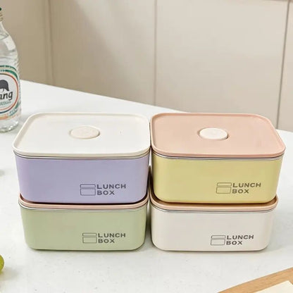 Pastel Steel Mini Lunch Box
