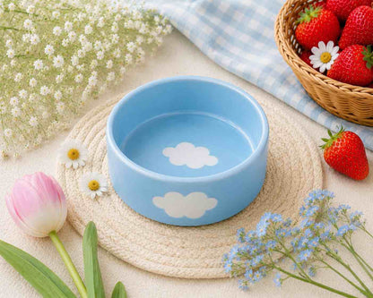 Sky Blue Ceramic Bowl